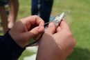 Kids Fishing Masterclass Monday 4th January 10am - 12pm ages 10yrs - 14yrs. Opposite Bayside Pizza - Bent St. Saftey Bay