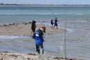 Kids Fishing Masterclass Monday 4th January 10am - 12pm ages 10yrs - 14yrs. Opposite Bayside Pizza - Bent St. Saftey Bay