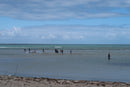 Kids Fishing Masterclass Monday 4th January 10am - 12pm ages 10yrs - 14yrs. Opposite Bayside Pizza - Bent St. Saftey Bay