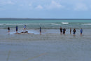 Kids Fishing Masterclass Monday 4th January 10am - 12pm ages 10yrs - 14yrs. Opposite Bayside Pizza - Bent St. Saftey Bay